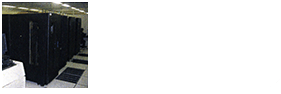 Duplicated host computer systems