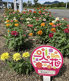 一人一花運動で地域貢献