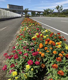 一人一花運動で地域貢献