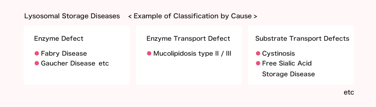 Lysosomal storage diseases <Example of Classification by Cause>