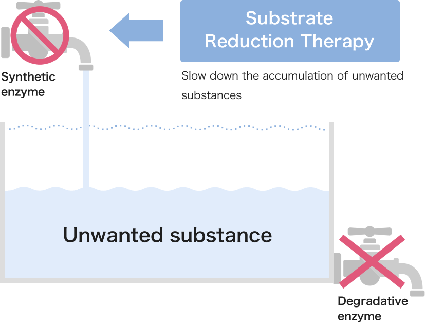 illustration：Substrate Reduction Therapy