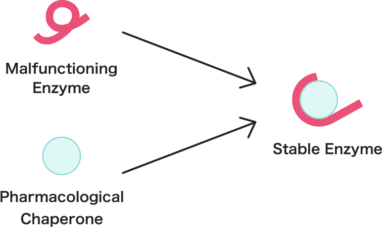 illustration：Pharmacological Chaperone Therapy