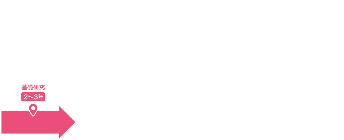 基礎研究