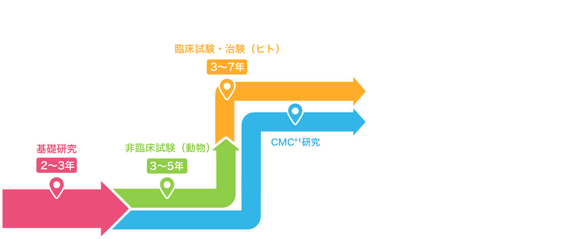 非臨床試験（動物）CMC*¹研究 臨床試験・治験（ヒト）