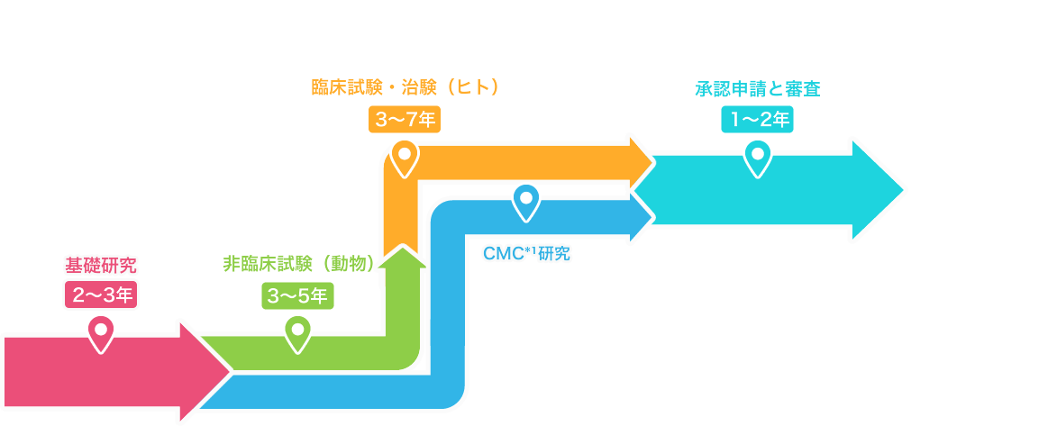 承認申請と審査 発売