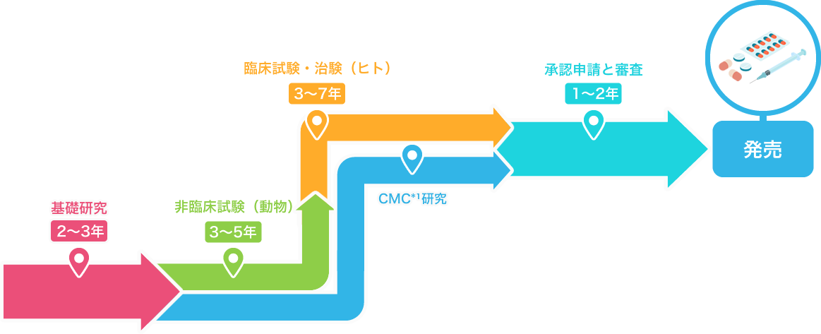 承認申請と審査 発売