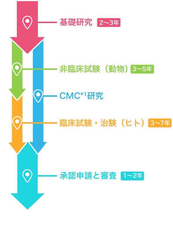 承認申請と審査