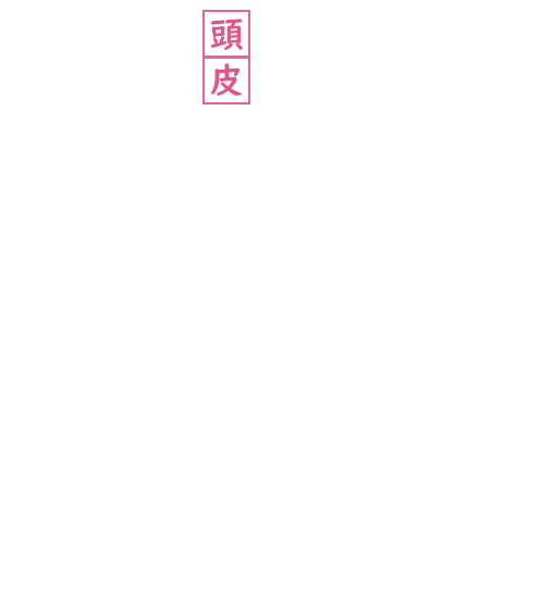 頭皮