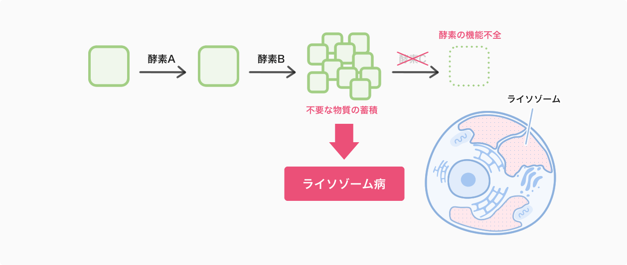 イラスト:ライソゾーム病