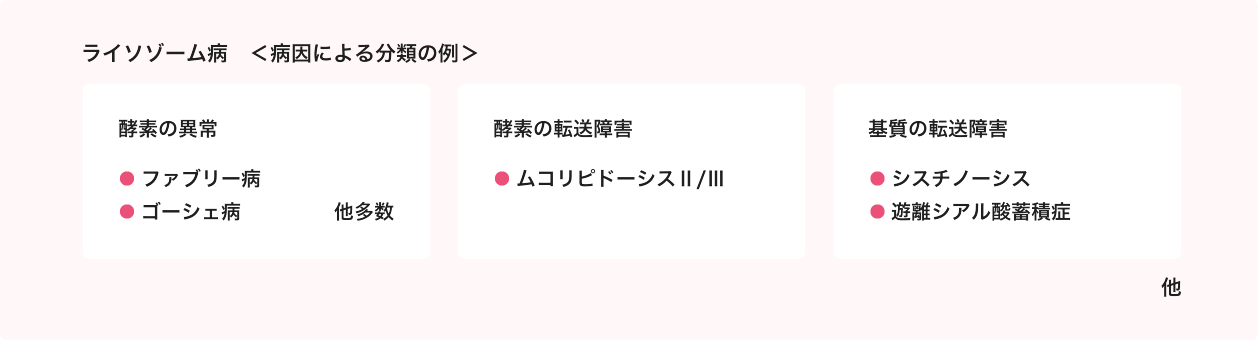 ライソゾーム病<病因による分類の例>