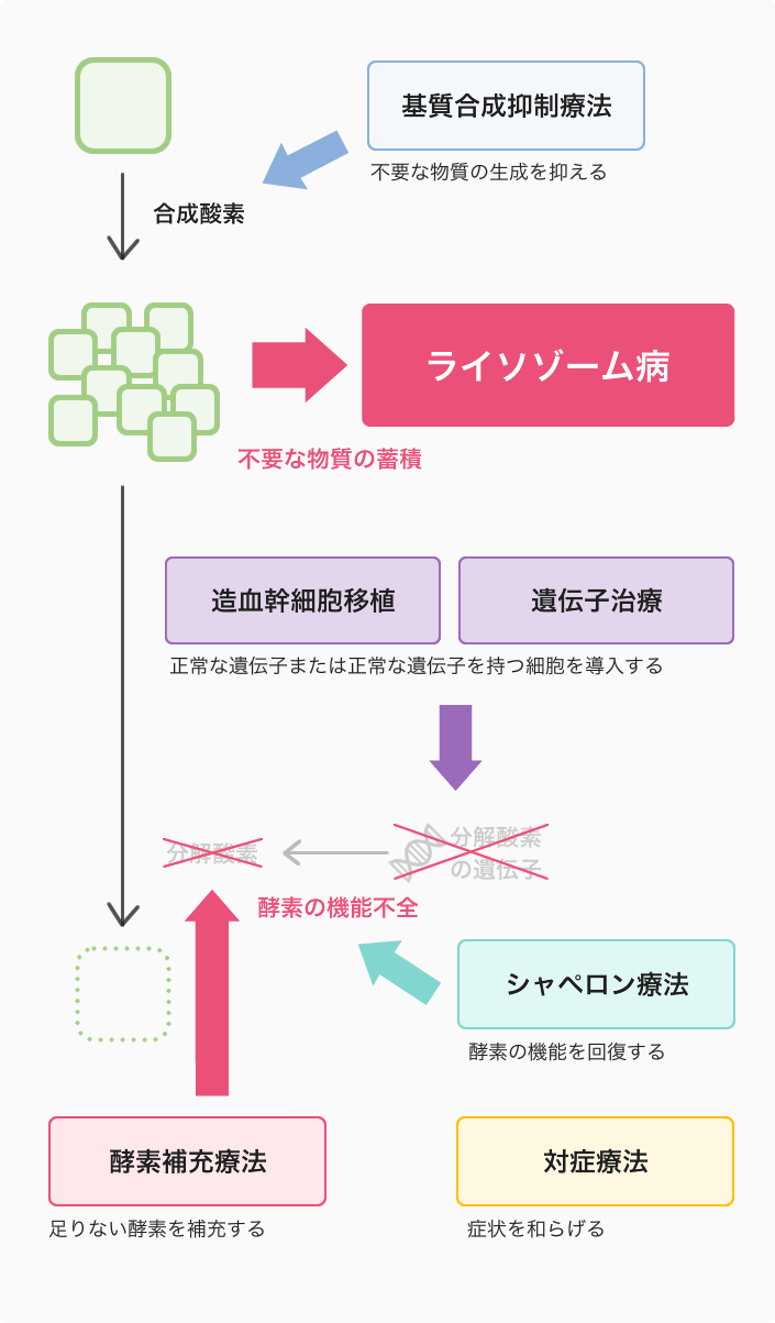 イラスト:主な治療法の模式図