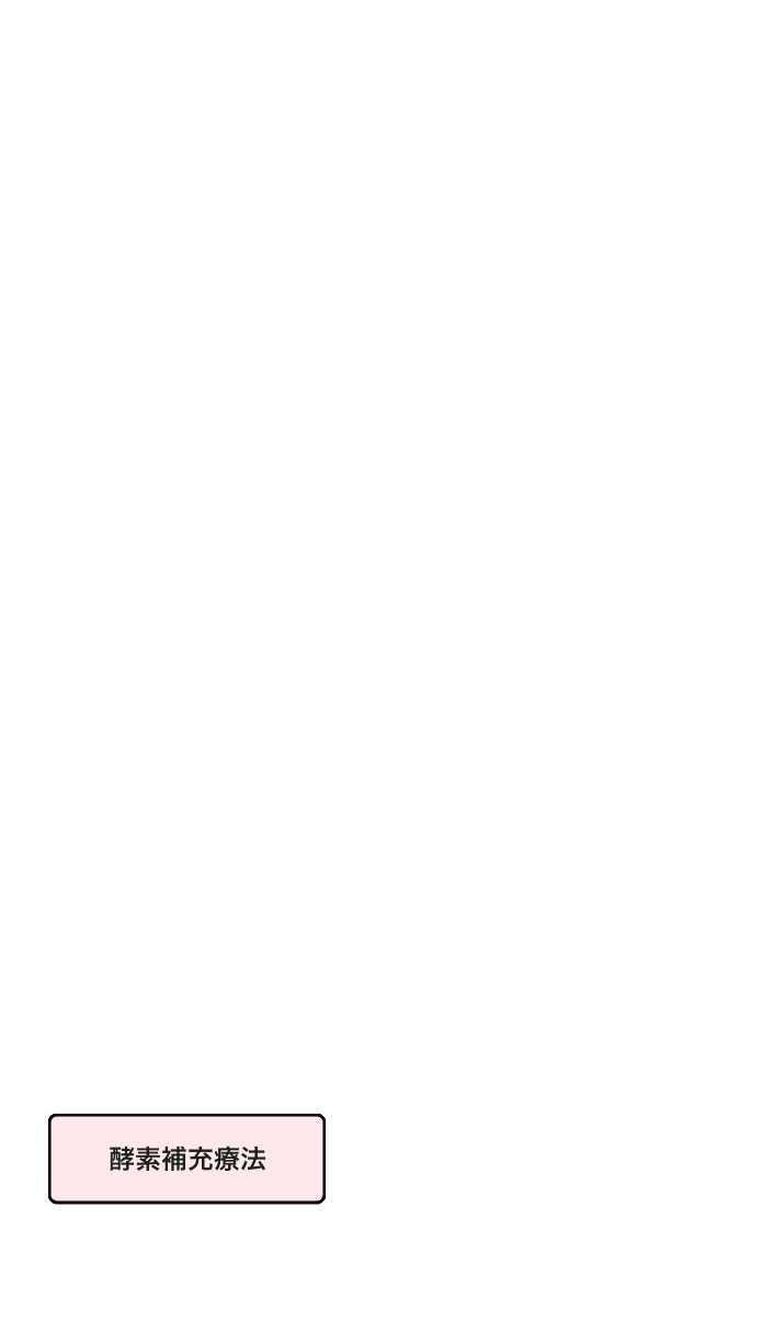 酵素補充療法