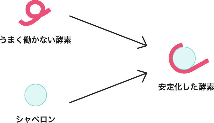 イラスト：シャペロン療法