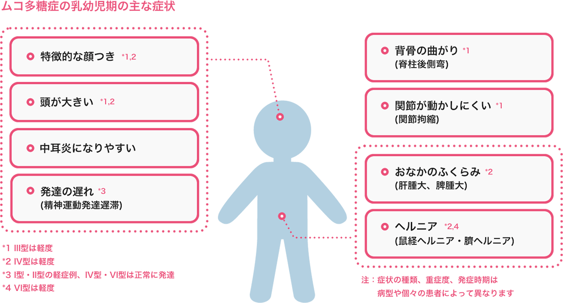 イラスト：ムコ多糖症の乳幼児期の主な症状